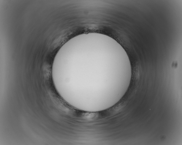 X0000115080135200911171203