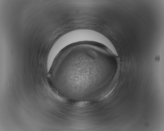 X0000115080136200911171203