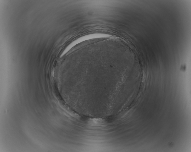 X0000115080137200911171203