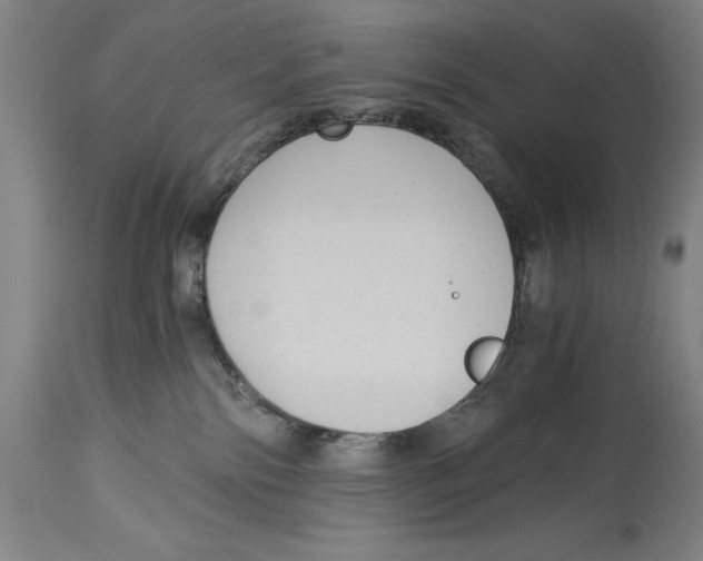 X0000115080138200911171203