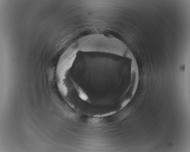 X0000115080139200911171203