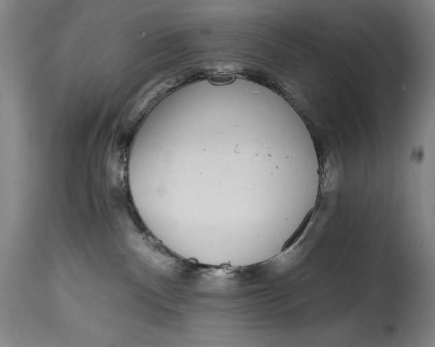X0000115080140200911171203