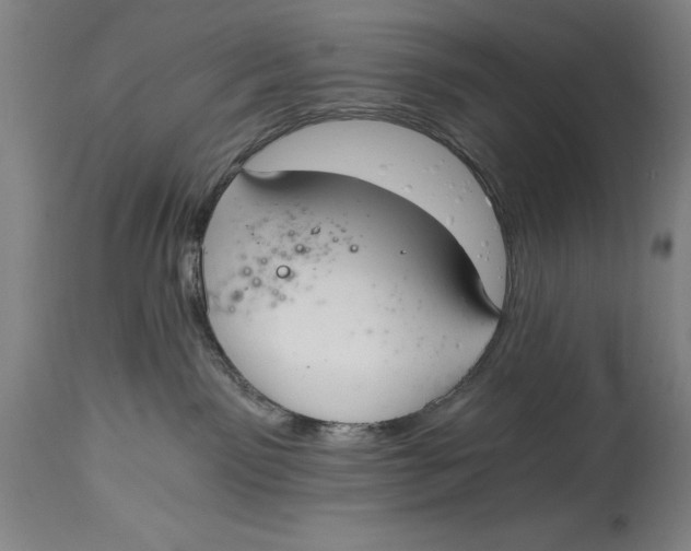 X0000115080141200911171203