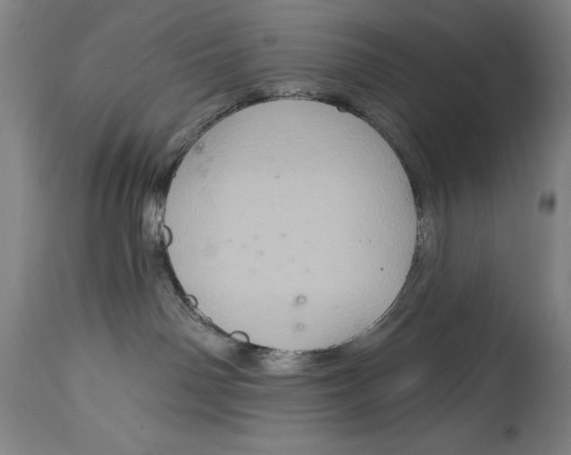 X0000115080142200911171203