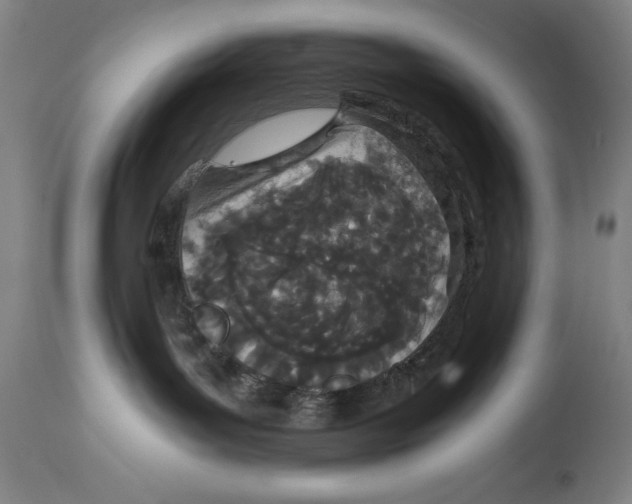 X0000115080143200911171203