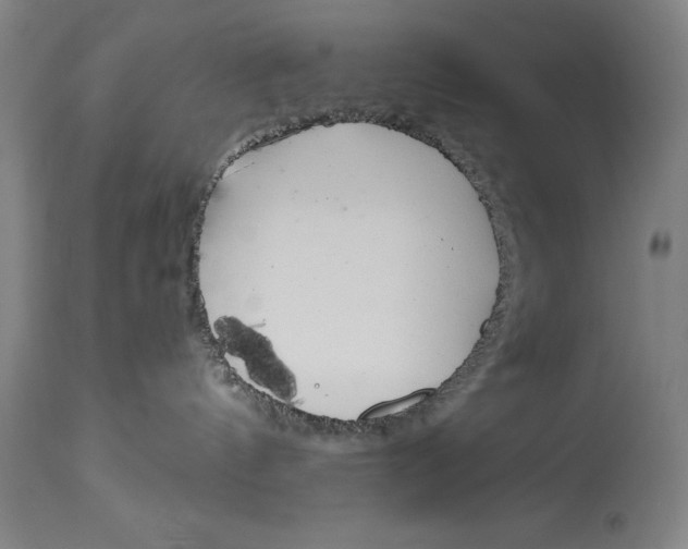 X0000115080144200911171203