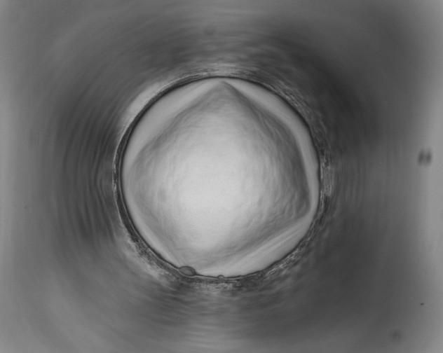 X0000115080147200911171202