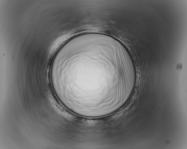 X0000115080149200911171202