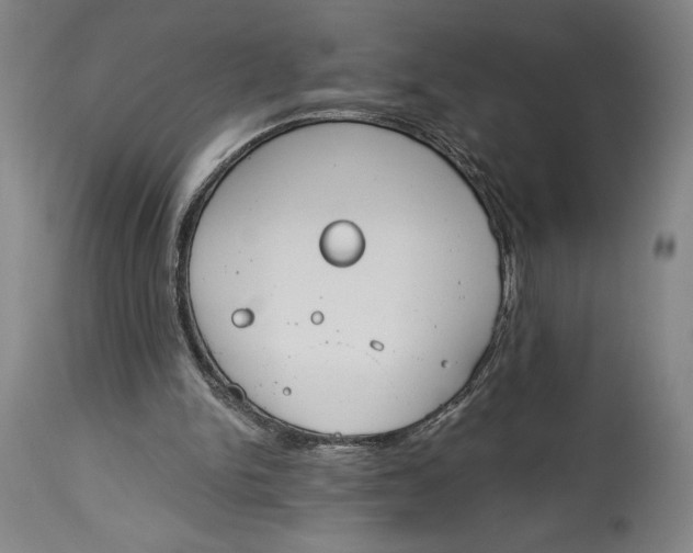 X0000115080150200911171202