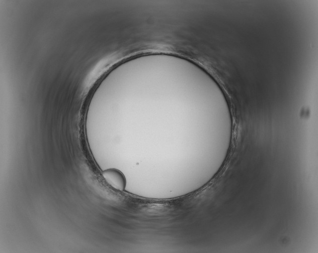 X0000115080151200911171202