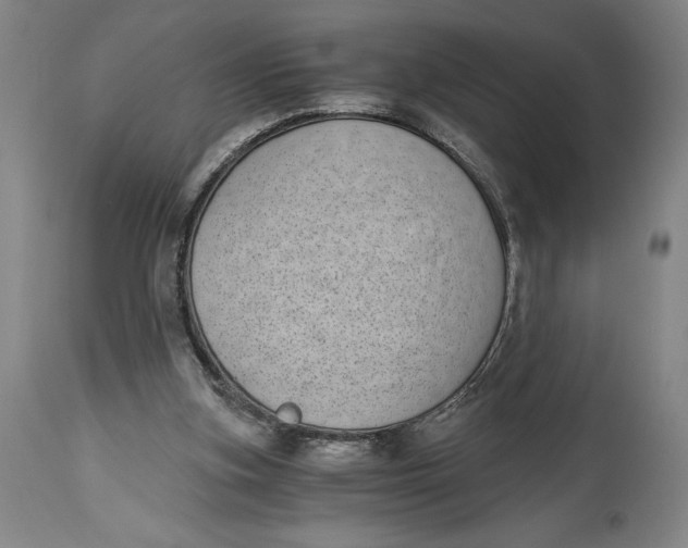 X0000115080155200911171202