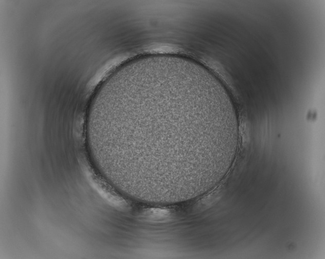 X0000115080159200911171202