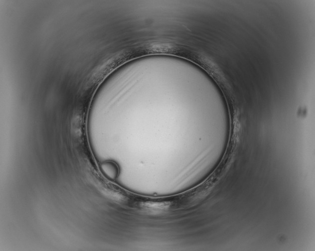 X0000115080161200911171202