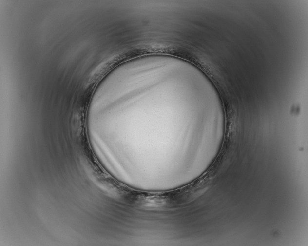 X0000115080165200911171202