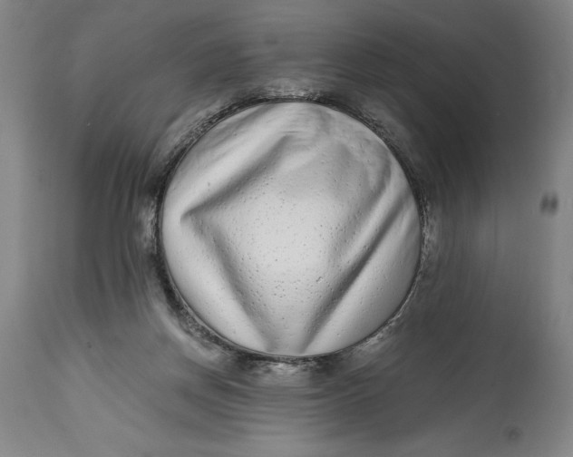 X0000115080166200911171202