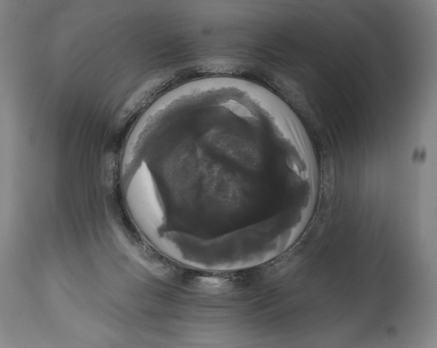 X0000115080167200911171202