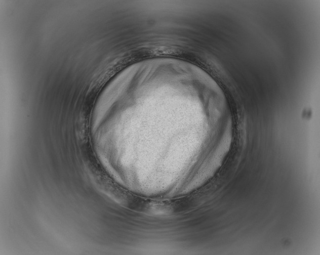 X0000115080169200911171202