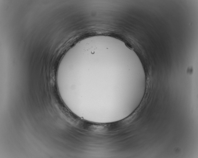 X0000115080170200911171202