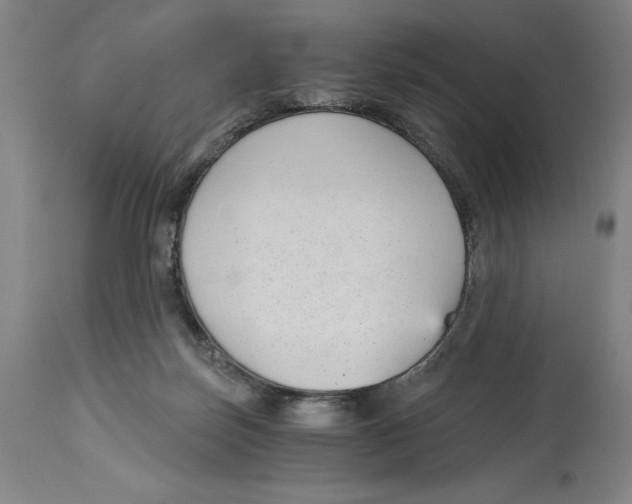 X0000115080171200911171202