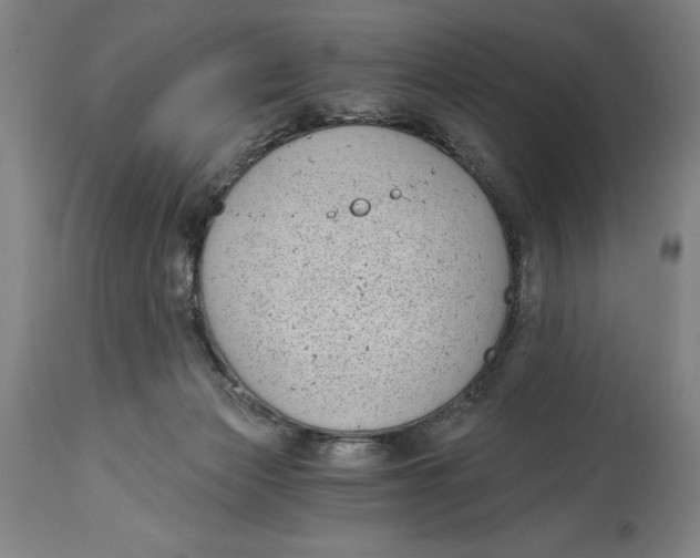 X0000115080173200911171202