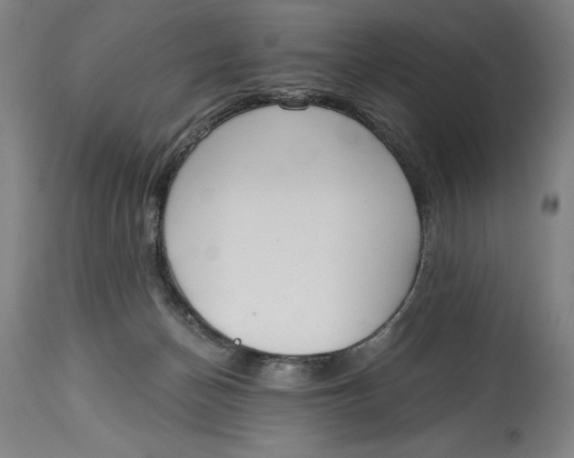 X0000115080174200911171202
