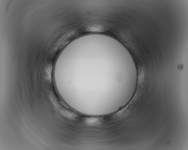 X0000115080175200911171202