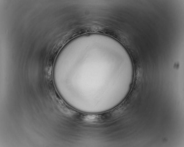 X0000115080177200911171202