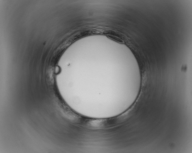 X0000115080178200911171202