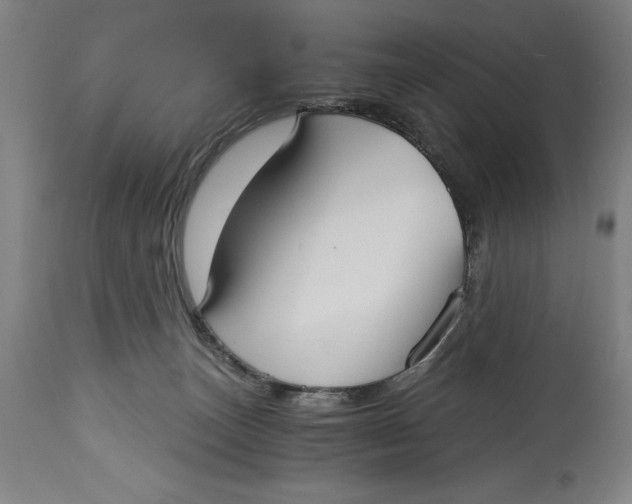 X0000115080179200911171202