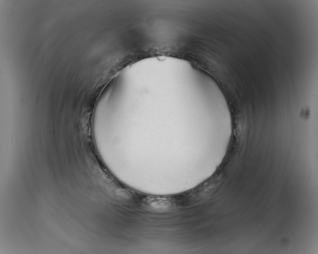 X0000115080181200911171202