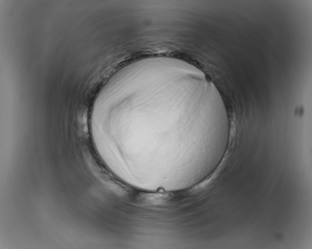 X0000115080182200911171202