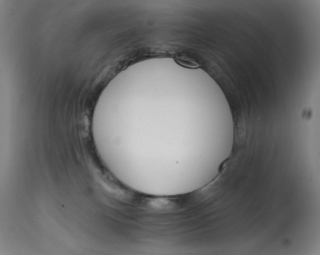 X0000115080183200911171202