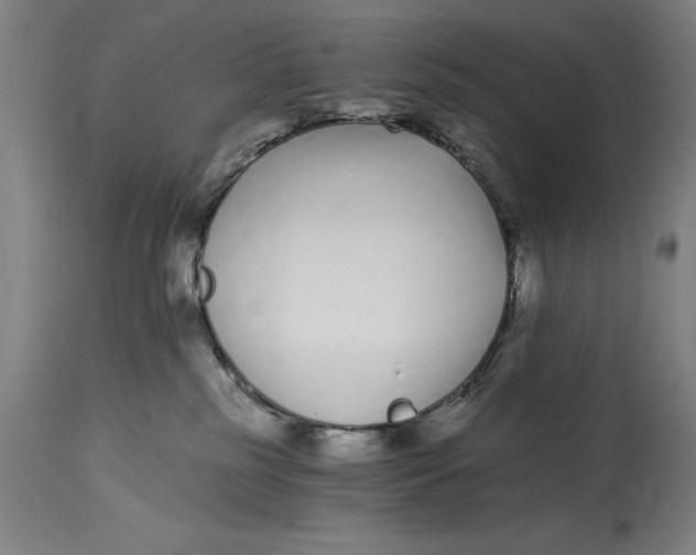 X0000115080185200911171202