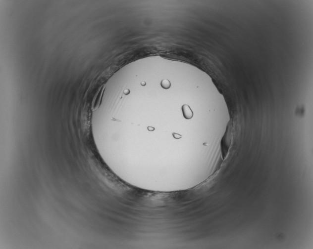 X0000115080186200911171202