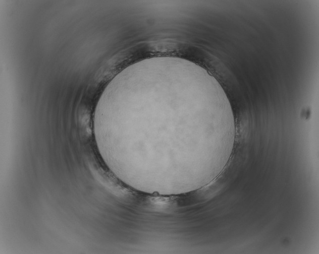 X0000115080187200911171202
