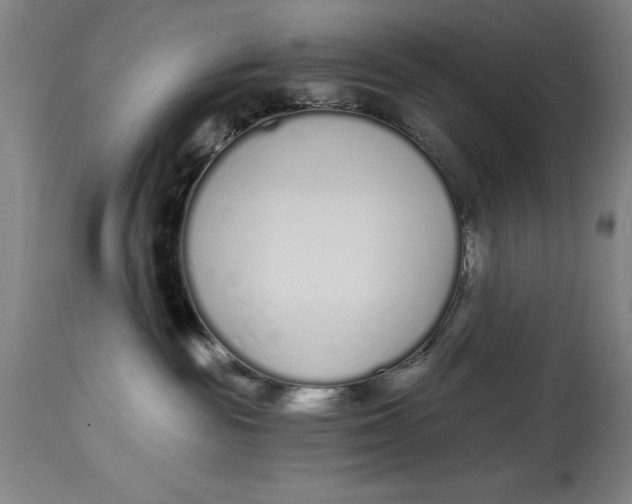 X0000115080189200911171203
