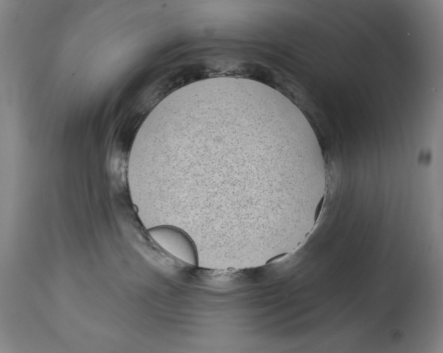 X0000115080191200911171203