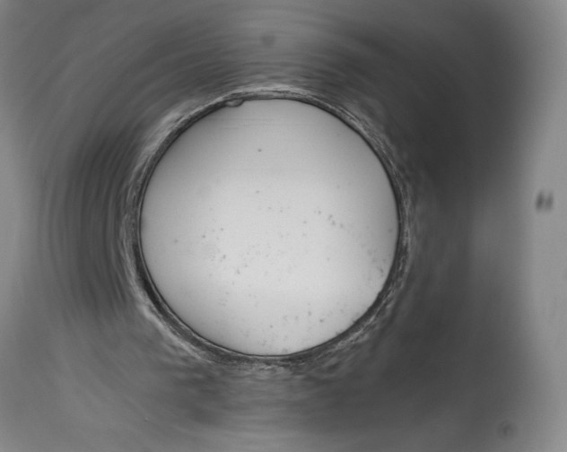 X0000115080193200911171202