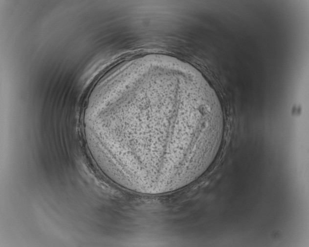X0000115080194200911171202