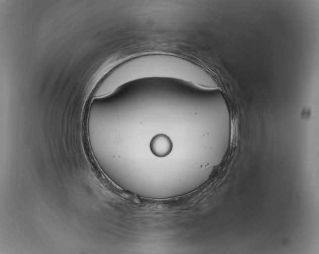 X0000115080195200911171202
