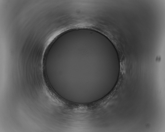 X0000115080196200911171202