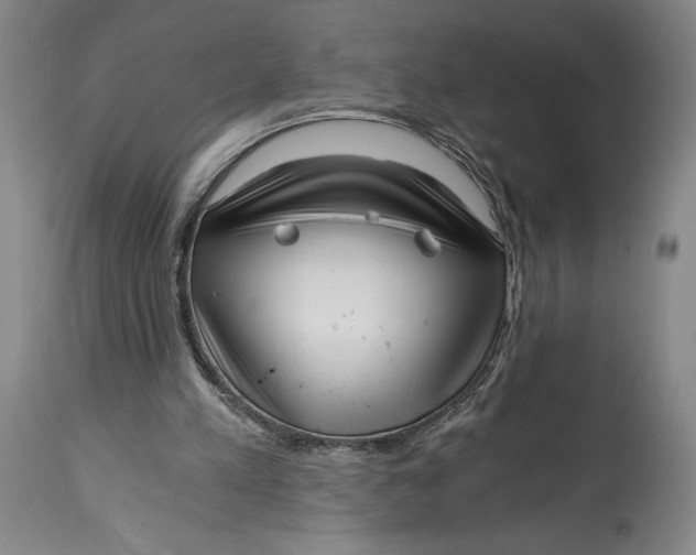 X0000115080197200911171202