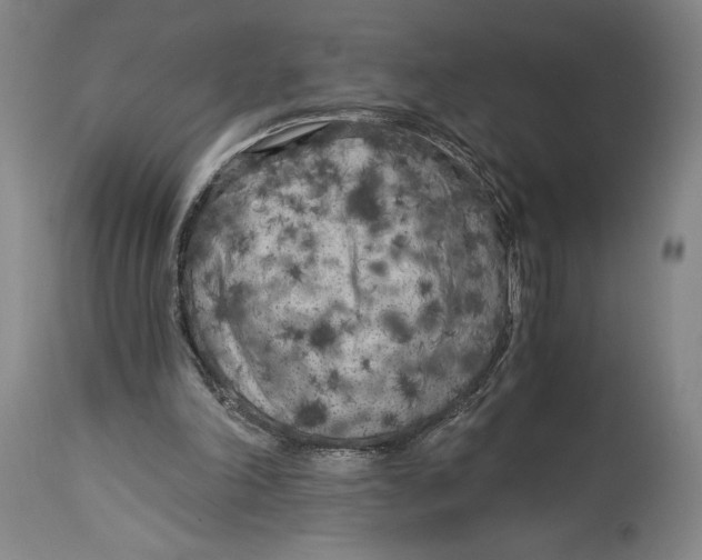 X0000115080198200911171202