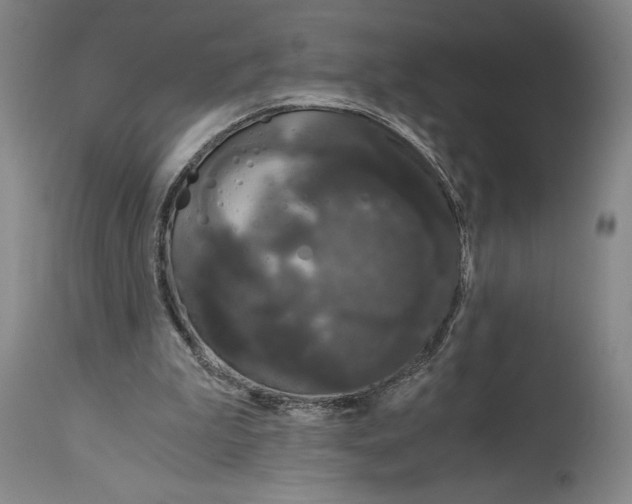 X0000115080199200911171202