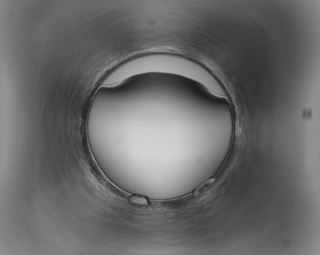 X0000115080201200911171202