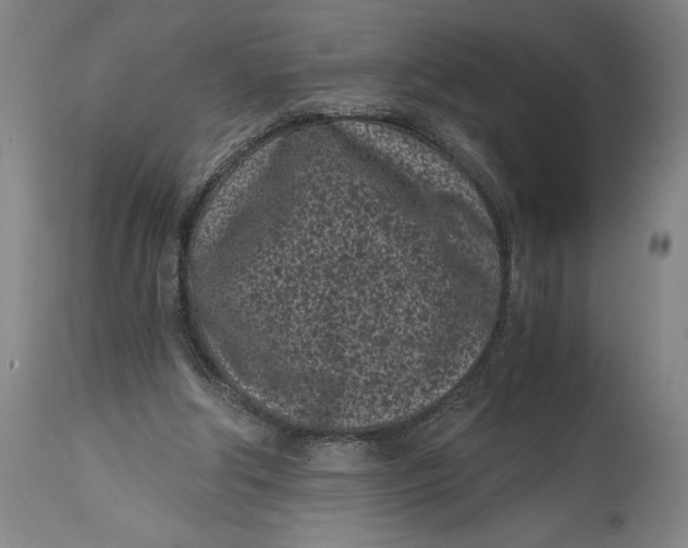 X0000115080202200911171202