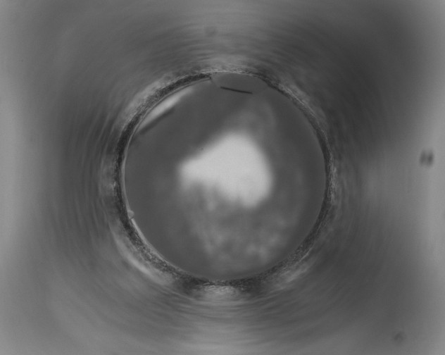 X0000115080203200911171202