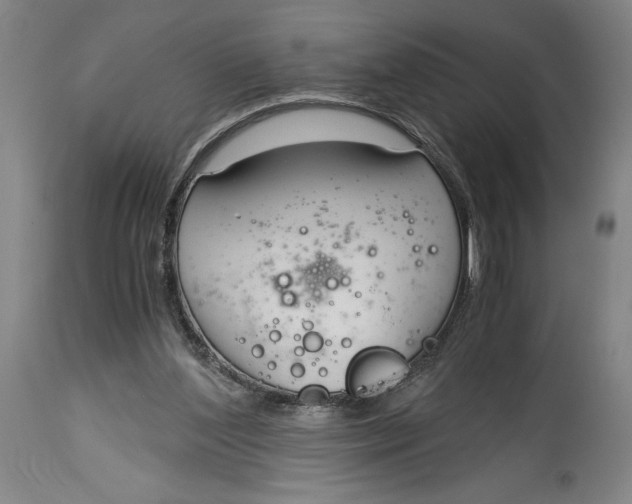 X0000115080204200911171202