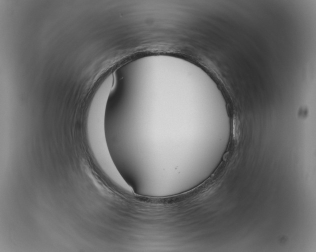 X0000115080205200911171202