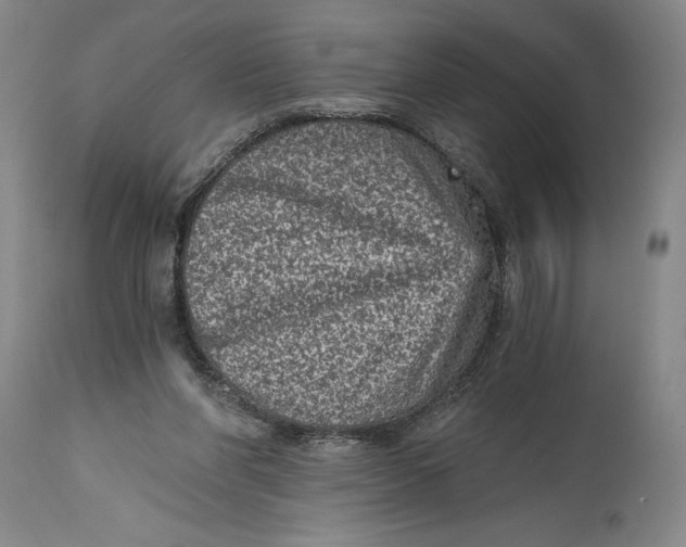 X0000115080206200911171202